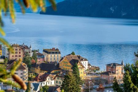 Häser in der Schweiz an einem See